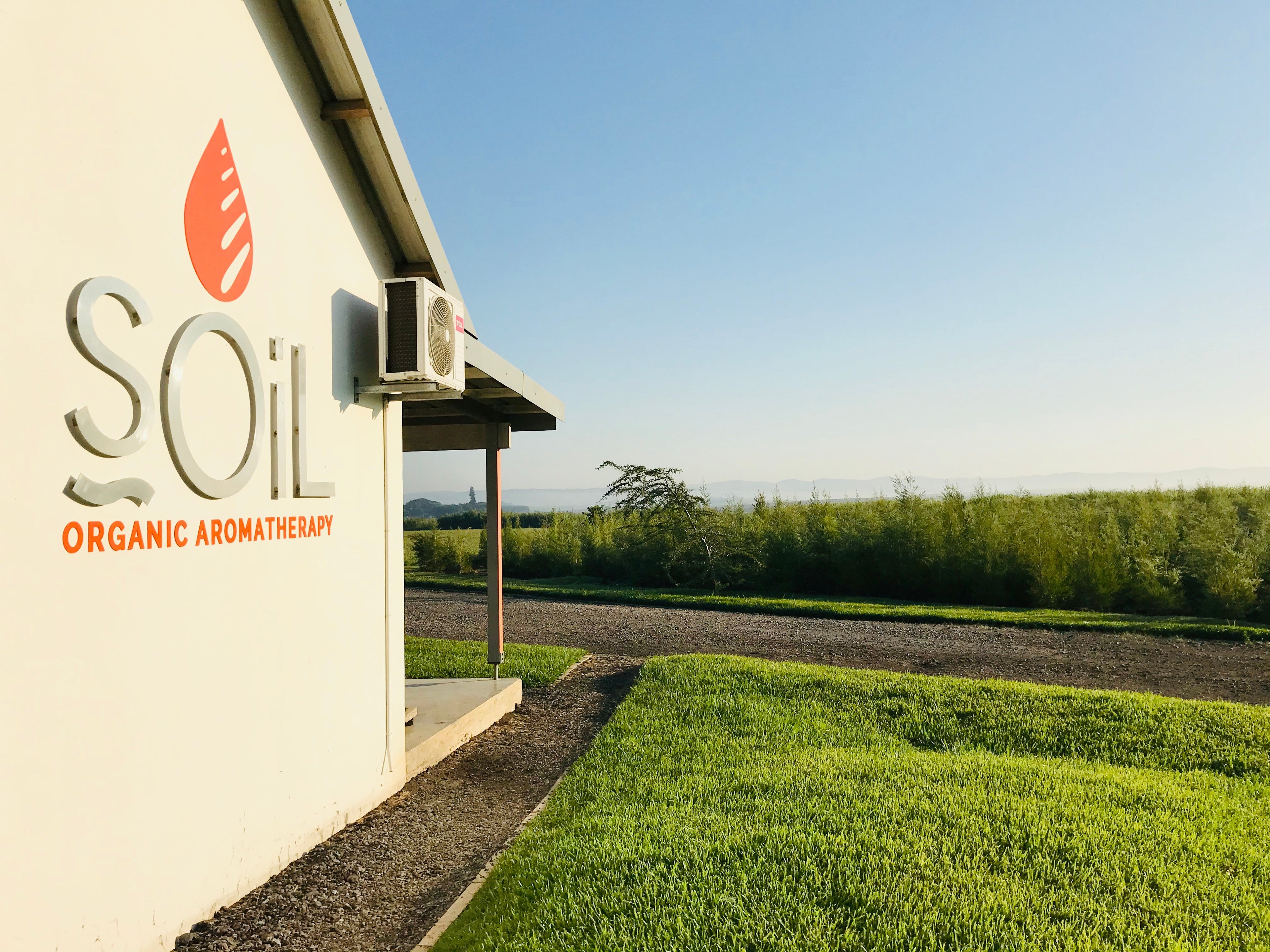 Organic Avocado Oil (Persia Grattissima) 100ml