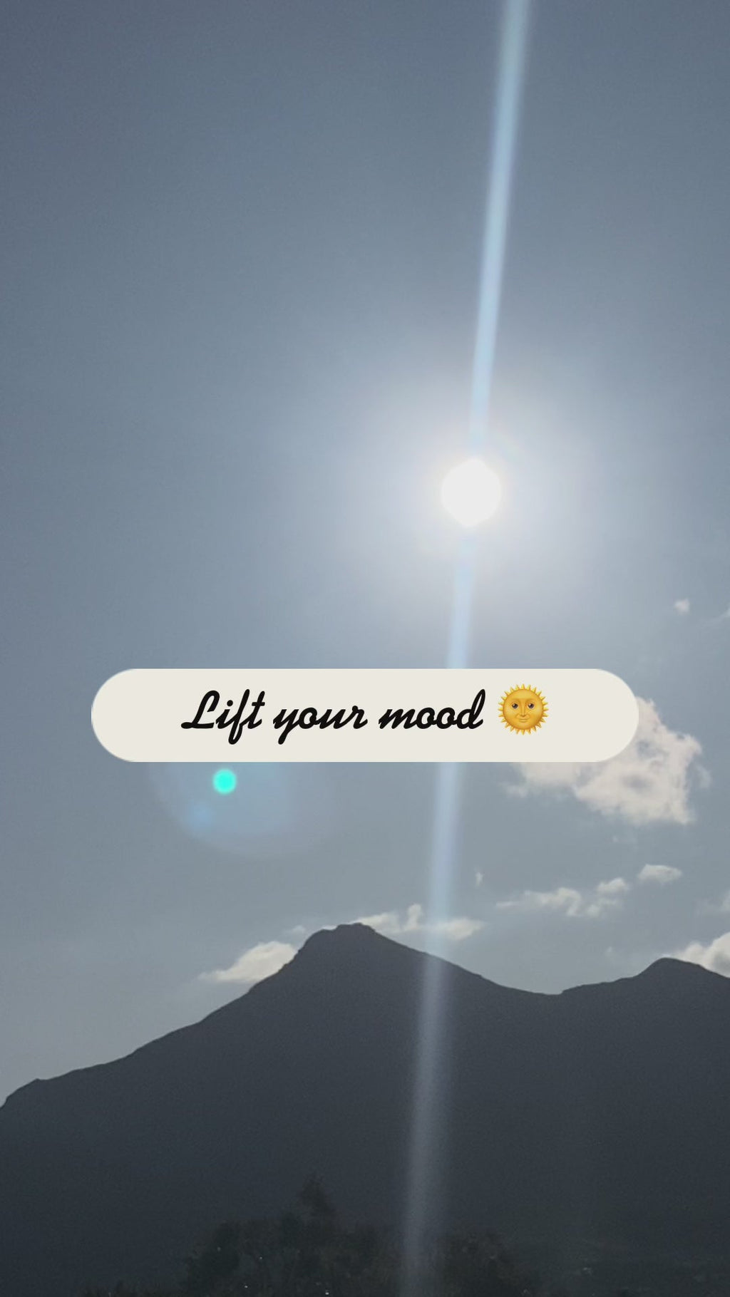 Bug Away - Organic Essential Oil Blend 10ml